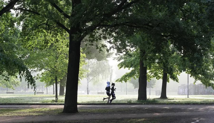 Embracing Low-Intensity Steady-State (LISS) Training: A Gentle Approach to Fitness